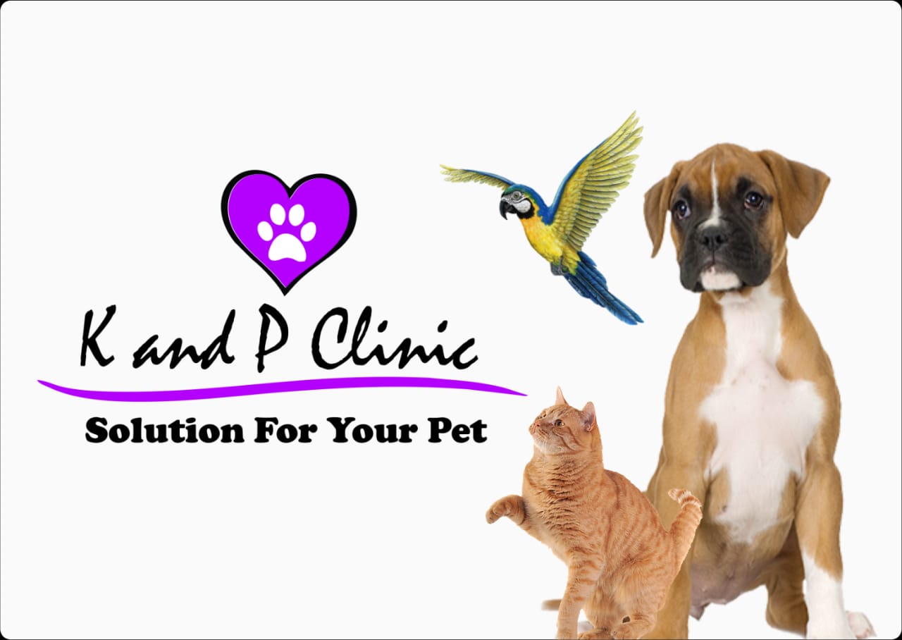 branding logo